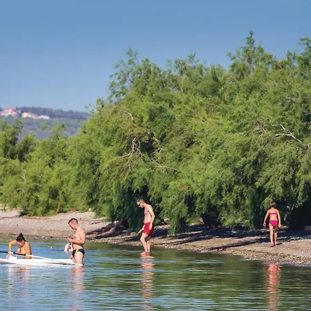 In With Wifi * 斯塔利格拉德-帕克利尼卡