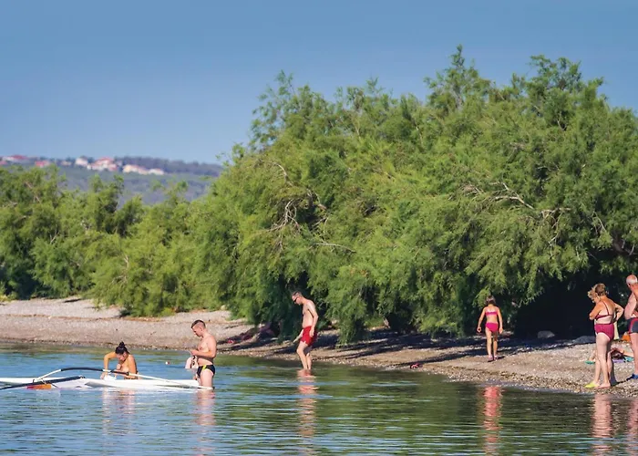 In With Wifi * 斯塔利格拉德-帕克利尼卡